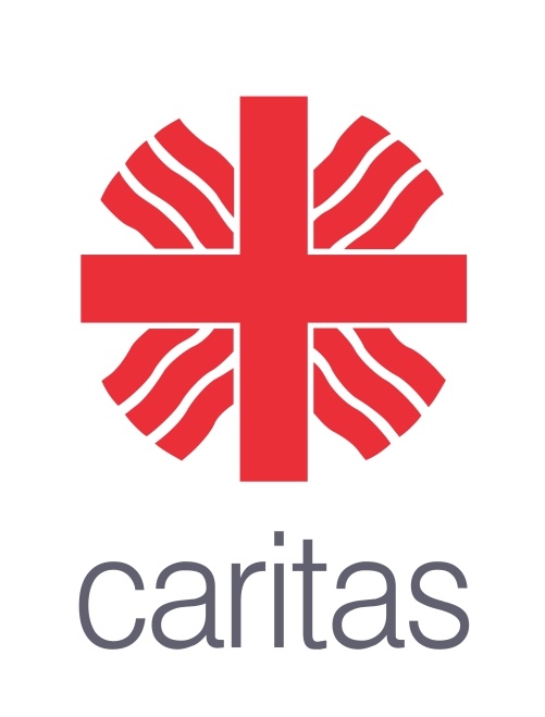 Am visat la o casă - construim viitorul